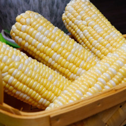 自由王果 云南甜玉米 9斤装