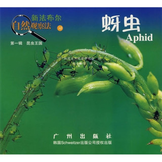 新法布尔自然观察法10第1辑昆虫王国蚜虫