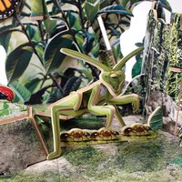 CubicFun 乐立方 3D立体拼图儿童科普早教益智拼插玩具 男孩女孩创意DIY百科太空恐龙动物拼图 超能昆虫