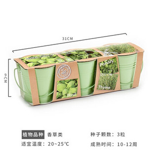 红豆（Hodo）香草组合种植套装 阳台桌面趣味DIY种植盆栽 可食用果蔬植物种子