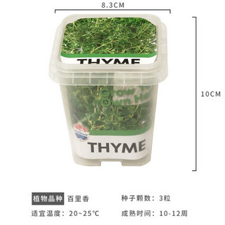 红豆（Hodo）百里香种植套装 阳台桌面趣味DIY种植盆栽 可食用果蔬植物种子