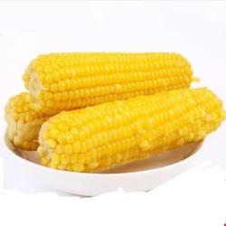 蜜和来 黄糯玉米 220g*8支