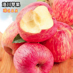 水果蔬菜 洛川 冰糖心红富士苹果  （80-85mm）带箱10斤装