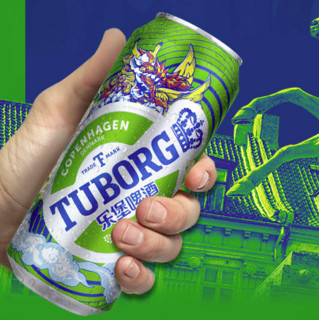 Carlsberg 嘉士伯 乐堡啤酒 330ml*24听