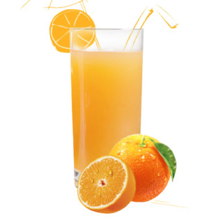 TANG 菓珍 速溶固体饮料 阳光甜橙味 750g