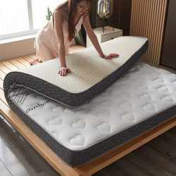 琳豆豆 乳胶记忆棉床垫软垫 6cm立体 90x200cm
