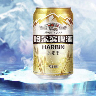 HARBIN 哈尔滨啤酒 小麦王啤酒 330ml*24听