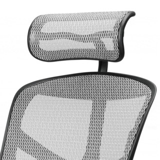 Ergonor 保友办公家具 金卓系列 人体工学电脑椅 银白色 尼龙脚