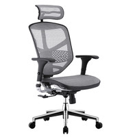 Ergonor 保友办公家具 金卓系列 人体工学电脑椅 银白色 铝合金脚