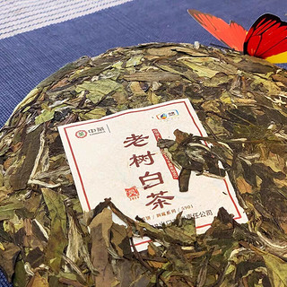 中茶 2019年 老树白茶5901 白茶饼