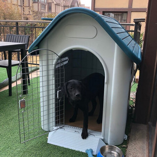 hoopet狗窝夏季边牧金毛狗房子塑料狗屋室外防水防雨耐咬中型大型犬拉布拉多室内别墅户外狗舍四季通用 424S-大号-有门款-蓝色(适合60斤内)