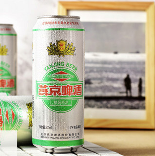 YANJING BEER 燕京啤酒 精品11度 500ml*12听