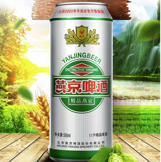 YANJING BEER 燕京啤酒 精品11度 500ml*12听