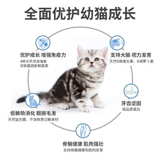 Kingoor金士摩 丹麦进口深海四种鱼肉全猫幼猫成猫老年猫猫粮  鱼肉味 幼猫粮 3kg