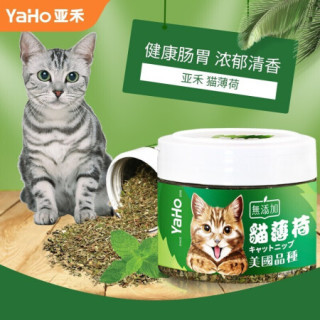 猫咪逗猫棒猫薄荷球猫薄荷撸猫大礼包 亚禾猫薄荷20g