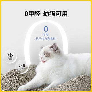 泰迪猫砂AIR无香无粉尘结团美国进口膨润土猫砂3.86kg*2