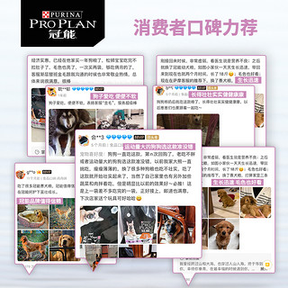 PRO PLAN 冠能 YS冠能狗粮专业赛级猎犬比赛级犬全价赛犬粮12kg