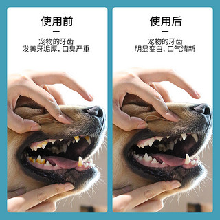 狗狗牙齿清洁喷剂去除口臭漱口水宠物用品猫咪口腔喷雾口气清新剂（洁齿喷剂）