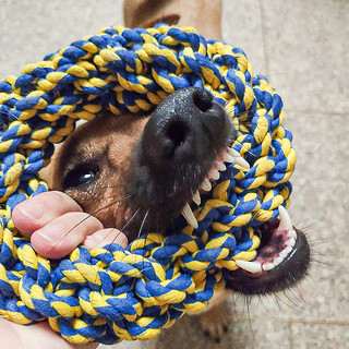 狗狗玩具耐咬磨牙幼犬泰迪狗咬棉绳结解闷互动中大型犬小型犬用品（玩趣互动款（通用））