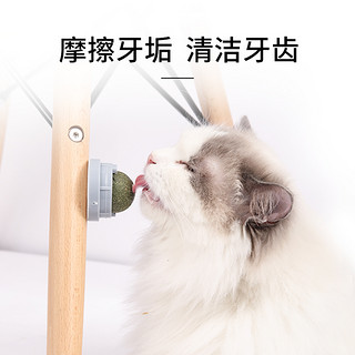 猫薄荷球猫糖舔舔乐逗猫棒耐咬磨牙啃咬幼猫零食猫咪玩具自嗨神器（舔舔乐3颗装（第3件0元选项 立省7.8元））