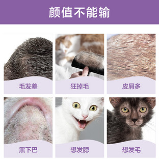 卫仕猫多维*2瓶+猫卵磷脂*2罐猫咪专用卵磷脂复合维生素综合营养