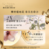  ESTEE LAUDER/雅诗兰黛 修护紧致抗皱 女士面霜