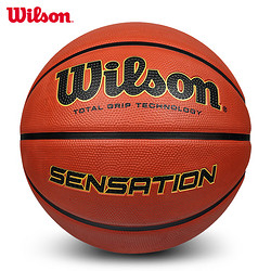 Wilson 威尔胜 Wilson威尔胜篮球 成人 青少年室外篮球