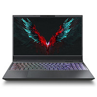 Shinelon 炫龙 T3Ti 15.6英寸 游戏本 黑色(酷睿i5-9300H、GTX 1660Ti 6G、16GB、512GB SSD、1080P、IPS)