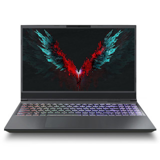 shinelon炫龙t3ti156英寸游戏本黑色酷睿i59300hgtx1660ti6g16gb512gb