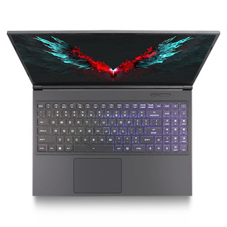 Shinelon 炫龙 T3Ti 15.6英寸 游戏本 黑色(酷睿i5-9300H、GTX 1660Ti 6G、16GB、512GB SSD、1080P、IPS）