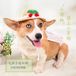 猫咪帽子可爱头饰宠物网红草帽竹蜻蜓生日装饰小型犬狗狗头套道具