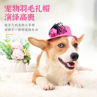 狗狗帽子头饰可爱外出泰迪比熊柯基装饰帽网红法斗小型犬生日头套 报价价格评测怎么样 什么值得买