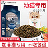 草原色_加菲猫专用猫粮猫咪主粮幼猫增肥发腮海洋鱼1-12个月 2kg