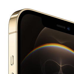 Apple 苹果  iPhone12ProMax（A2412） 5G手机 金色 128G 官方标配