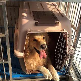 宠物航空箱狗笼托运箱大小中型犬猫笼便携外出空运箱猫咪航空箱猫（咖啡色-带提手标配、1号）