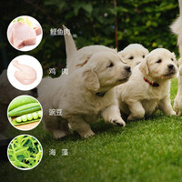 比瑞吉全价小型犬成年期狗粮尝鲜装400g+湿粮煲70g*5尝新套餐