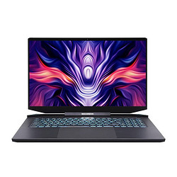 MECHREVO 机械革命 钛钽PLUS 17.3英寸游戏本（i7-11800H、16GB、512GB、RTX3060）