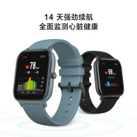 AMAZFIT 华米 A1913 GTS智能手表