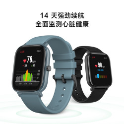 AMAZFIT 华米 A1913 GTS智能手表