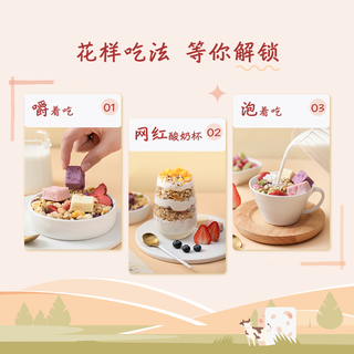 网易严选 酸奶草莓奇亚籽谷物燕麦片 600克