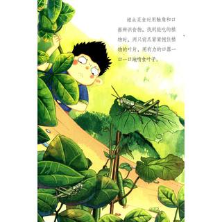 《我爱昆虫记》（套装共8册）
