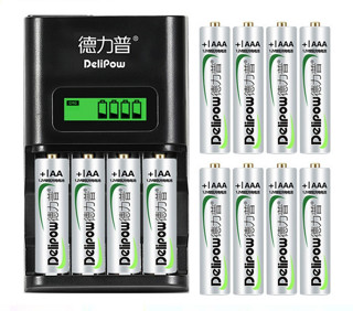 Delipow 德力普 液晶充电器+12节电池
