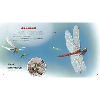 《小牛顿魔法科普馆·飞行技术一流的蜻蜓》（AR特别版）
