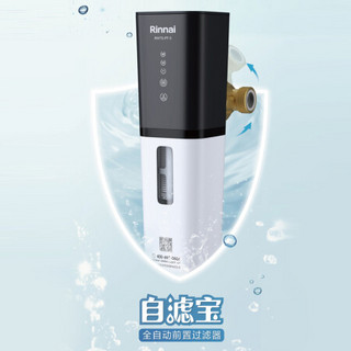 林内（Rinnai）净水器 前置过滤器 免拆反冲洗 家用大通量管道排污 中央滤水机 全屋净化器 RWTS-PF-5