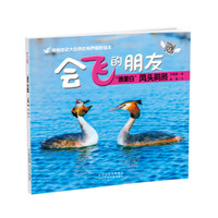 《会飞的朋友·“浪里白”凤头䴙䴘》