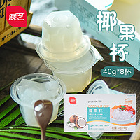 展艺 椰果杯椰果粒40杯*40g椰果肉零食果冻布丁甜品奶茶用烘焙材料  1盒320g（8杯*40g）