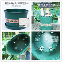 新优正 塑料花盆二代矮胖加厚大号家用绿萝多肉月季小绿植加仑盆 高0.5加仑【3个装】