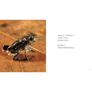 《生命的故事·诞生了！蝌蚪》