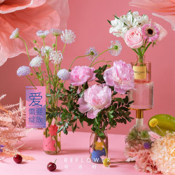 REFLOWER 花点时间 悦己鲜花 3花3瓶套装