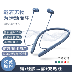 IPHOX 爱福克斯 爱福克斯(iPhox)挂脖蓝牙耳机 黑色 标准版